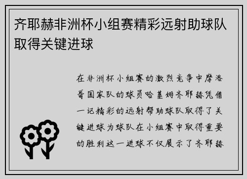 齐耶赫非洲杯小组赛精彩远射助球队取得关键进球